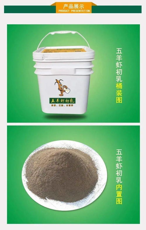 冬棚放苗时,养殖高手直言 没有它不放苗
