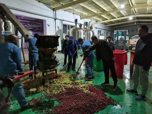 垃圾分类 有机农业丨全国首个农用酵素 微生物工厂 落地沁源