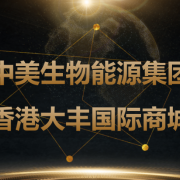 香港大丰国际商城第五期培训