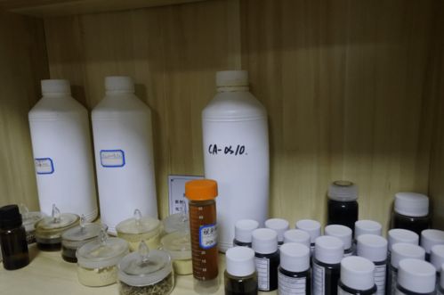 迷迭香之王