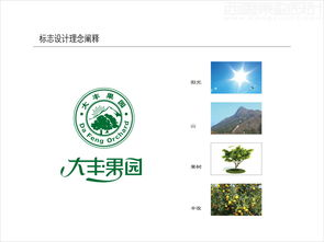 鹏力达食品大丰果园logo设计干果包装设计案例图片